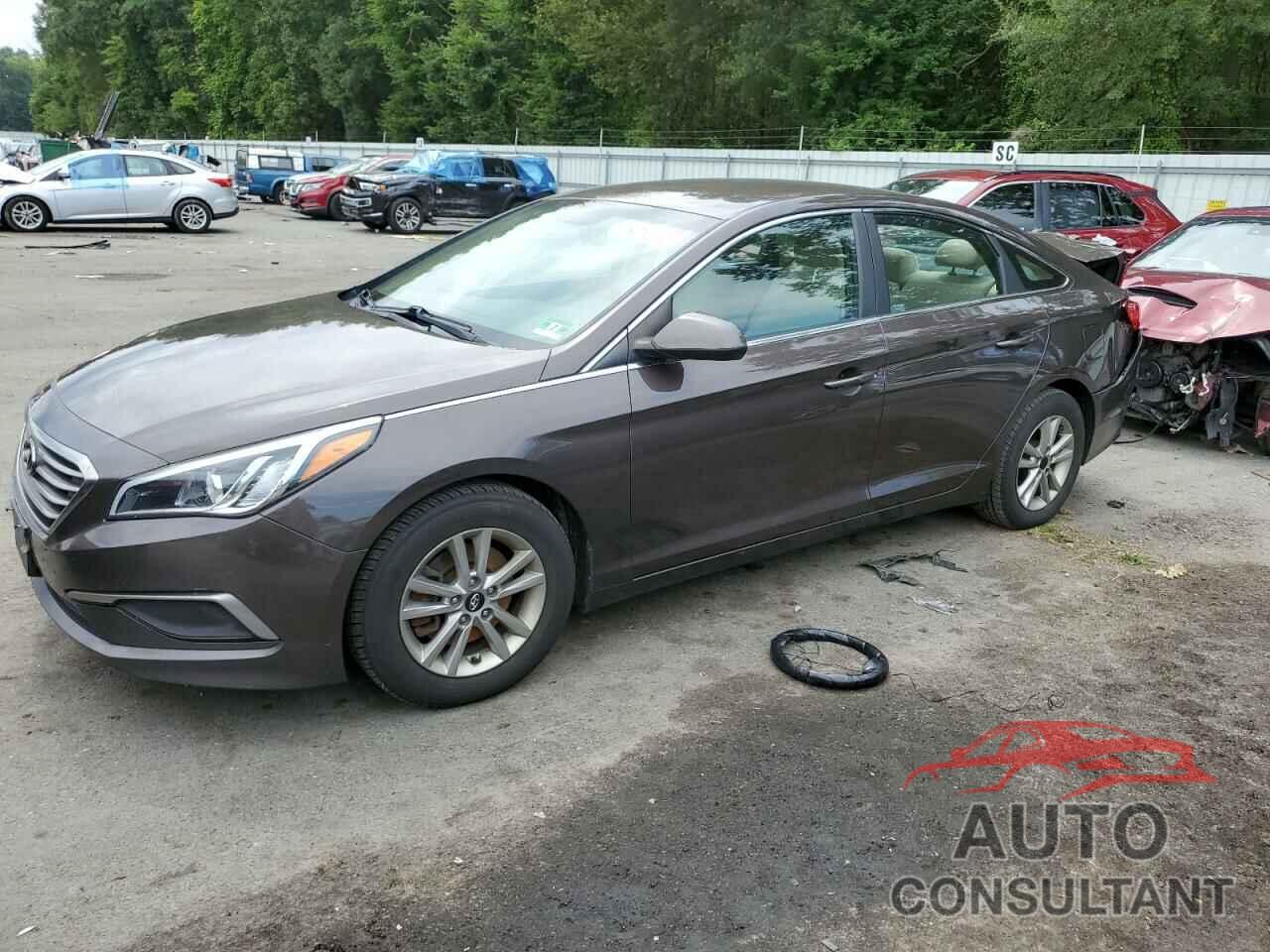 HYUNDAI SONATA 2016 - 5NPE24AF3GH354361