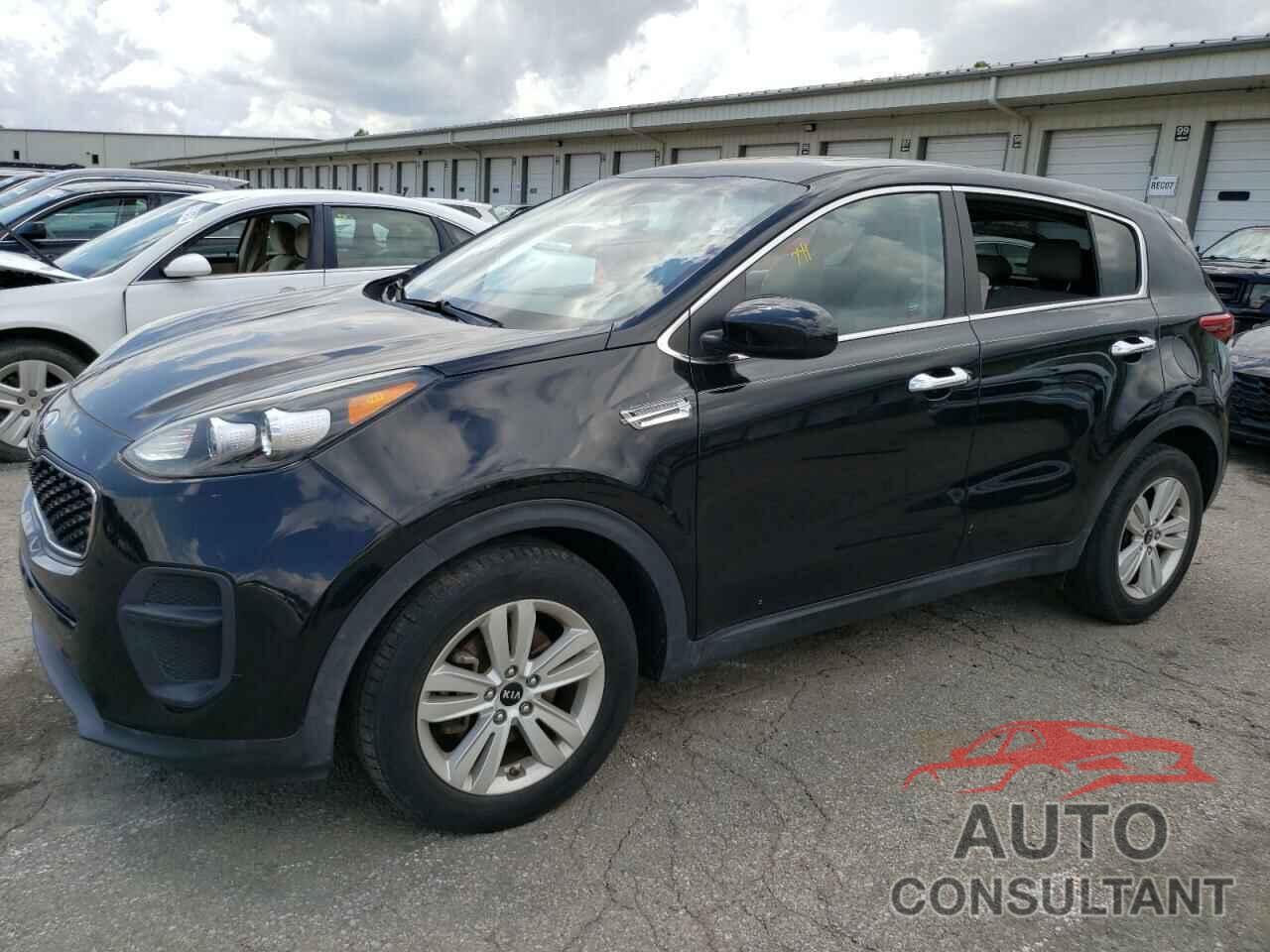 KIA SPORTAGE 2017 - KNDPM3AC6H7060879