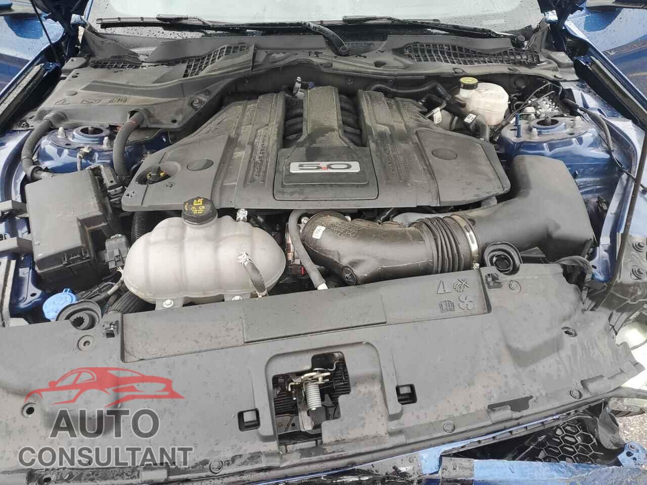 FORD MUSTANG 2022 - 1FA6P8CF4N5128357