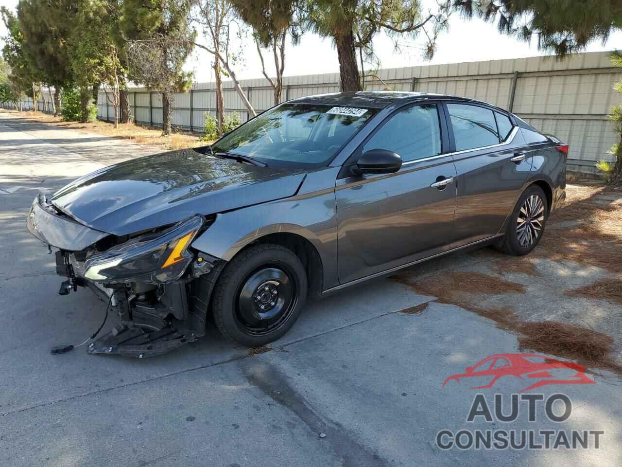 NISSAN ALTIMA 2024 - 1N4BL4DV1RN363605