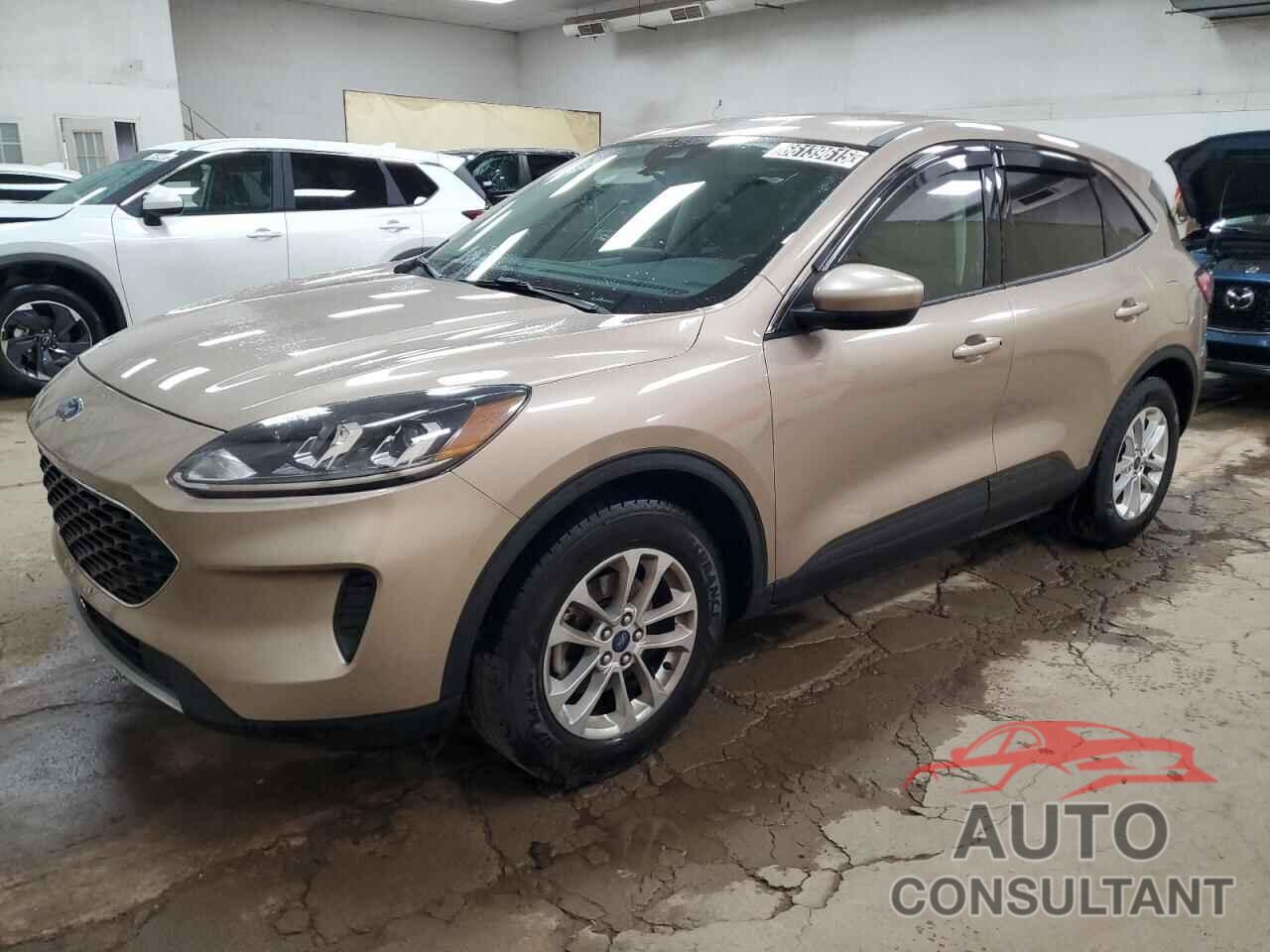 FORD ESCAPE 2021 - 1FMCU0G63MUA77919