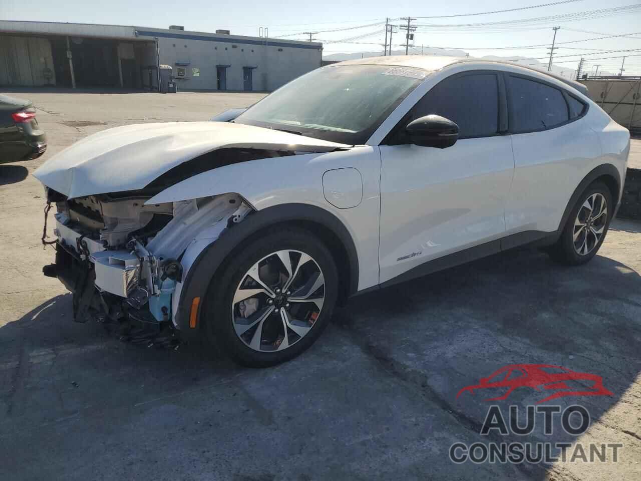FORD MUSTANG 2025 - 3FMTK1R49SMA16101
