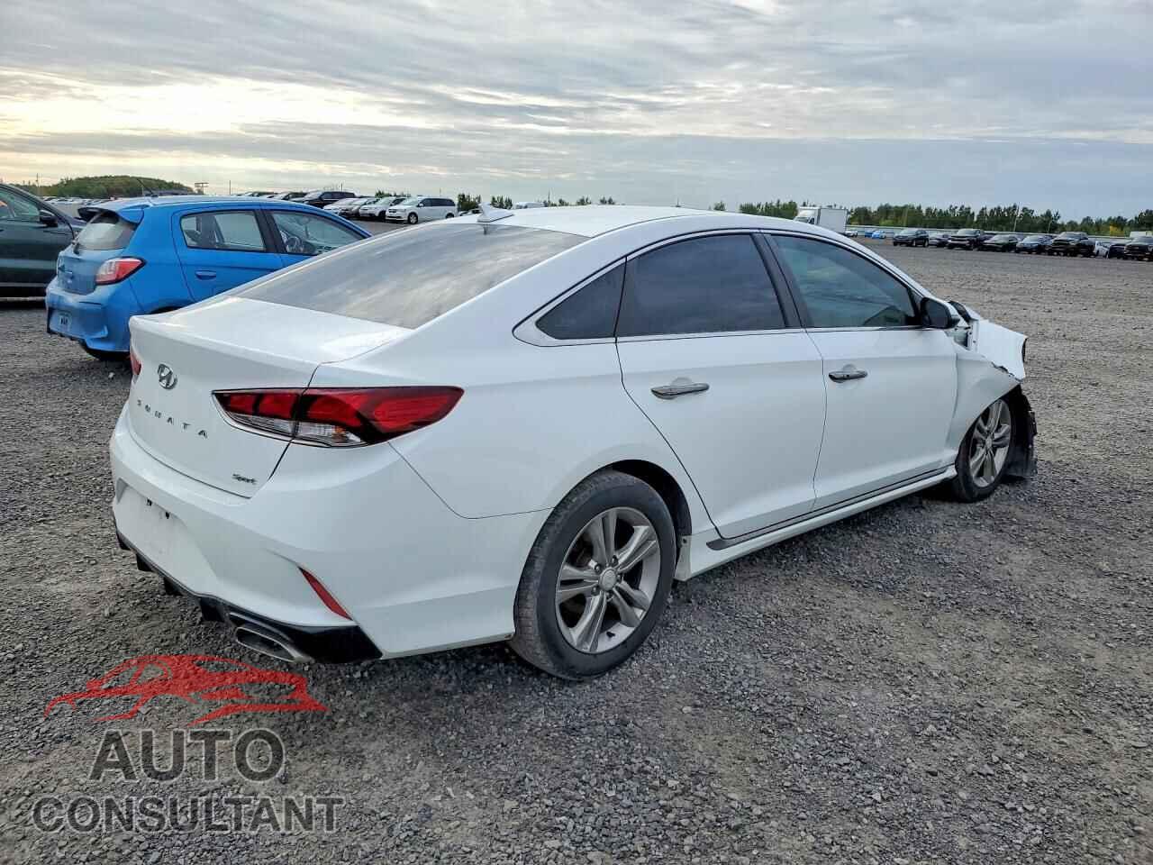 HYUNDAI SONATA 2019 - 5NPE34AF3KH784901