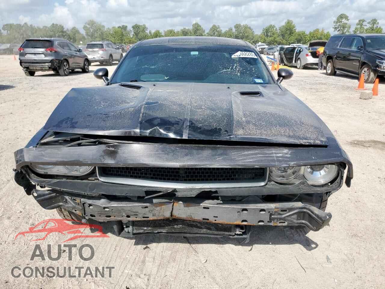 DODGE CHALLENGER 2013 - 2C3CDYCJ3DH604149