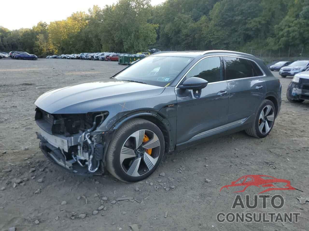 AUDI E-TRON 2019 - WA1VAAGE1KB006580