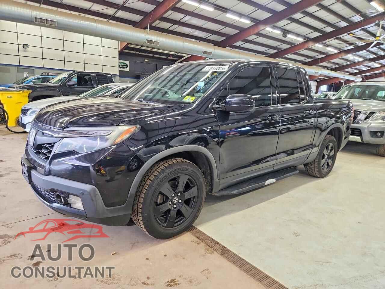 HONDA RIDGELINE 2019 - 5FPYK3F85KB009946