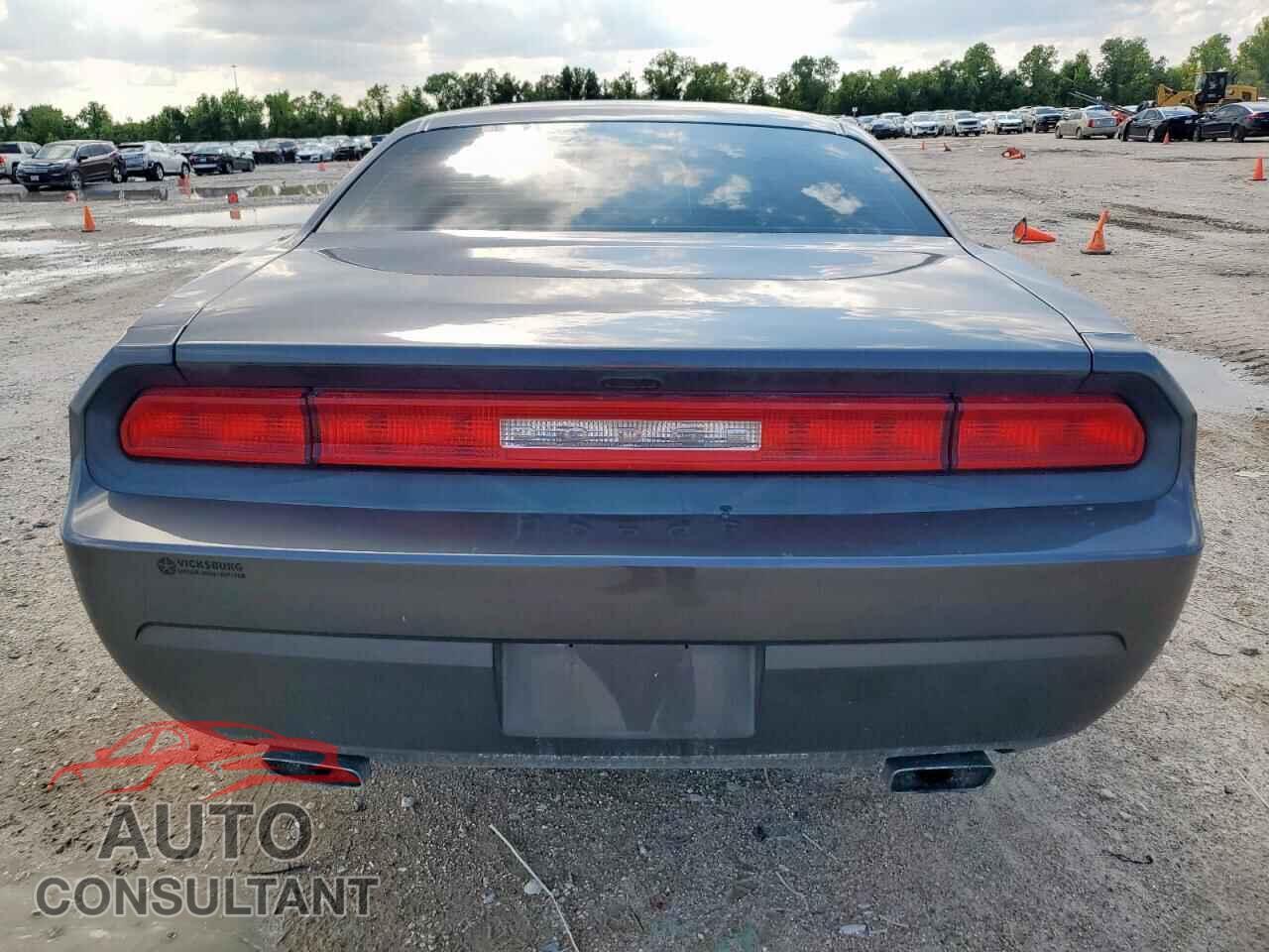 DODGE CHALLENGER 2014 - 2C3CDYAG6EH266853