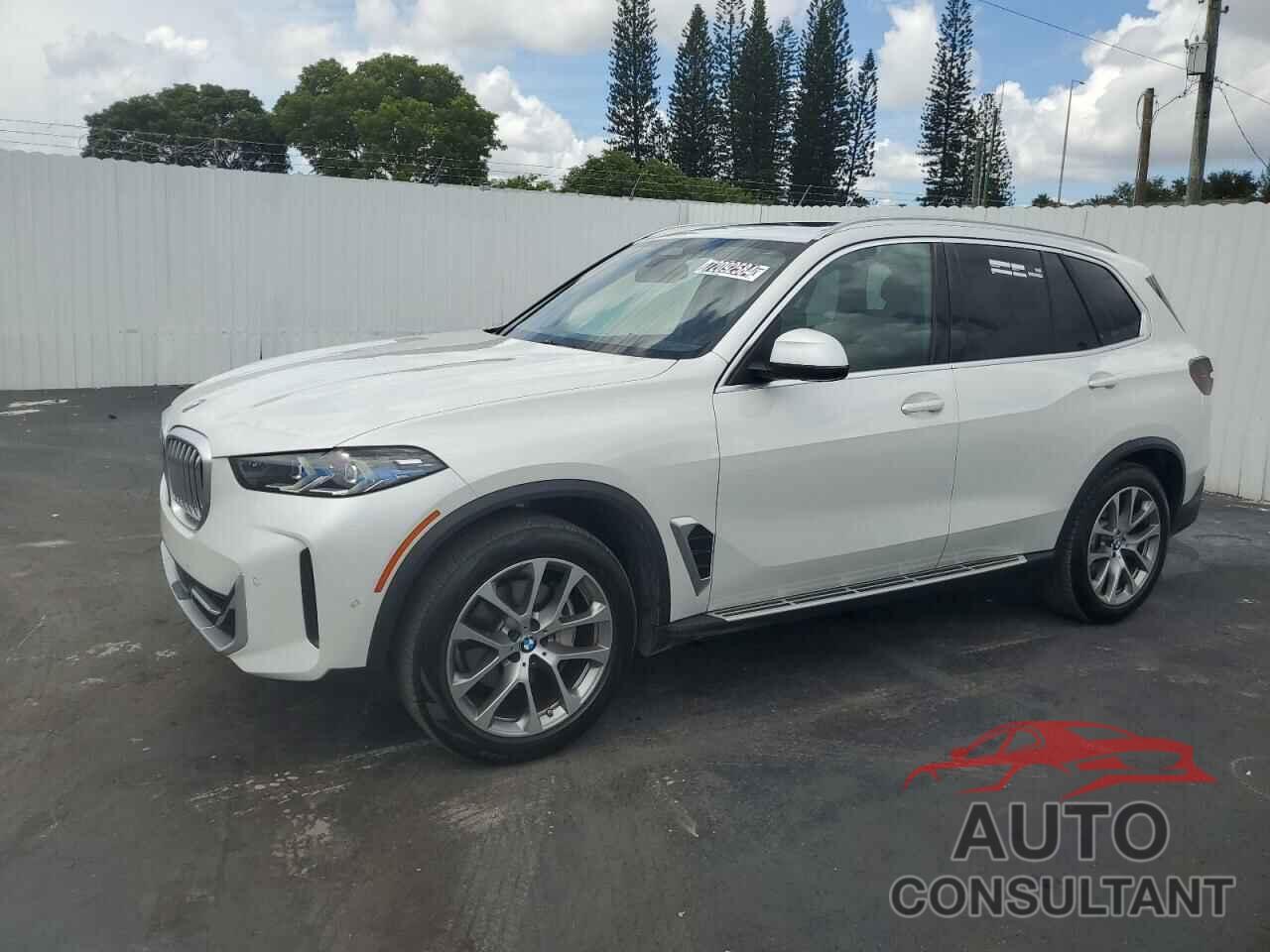 BMW X5 2024 - 5UX13EU01R9V08813