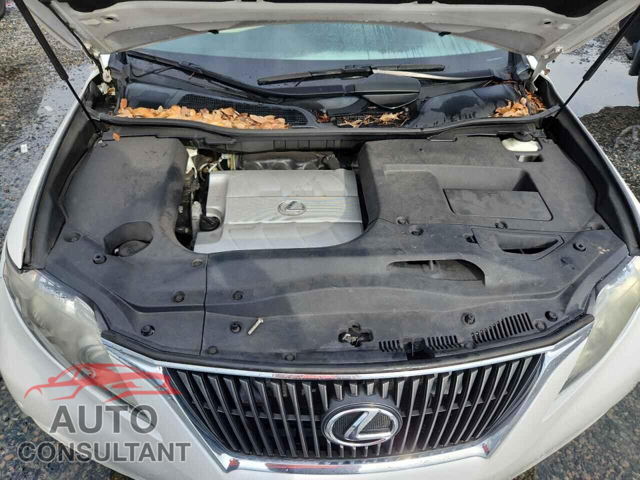 LEXUS RX350 2012 - 2T2BK1BA6CC143796