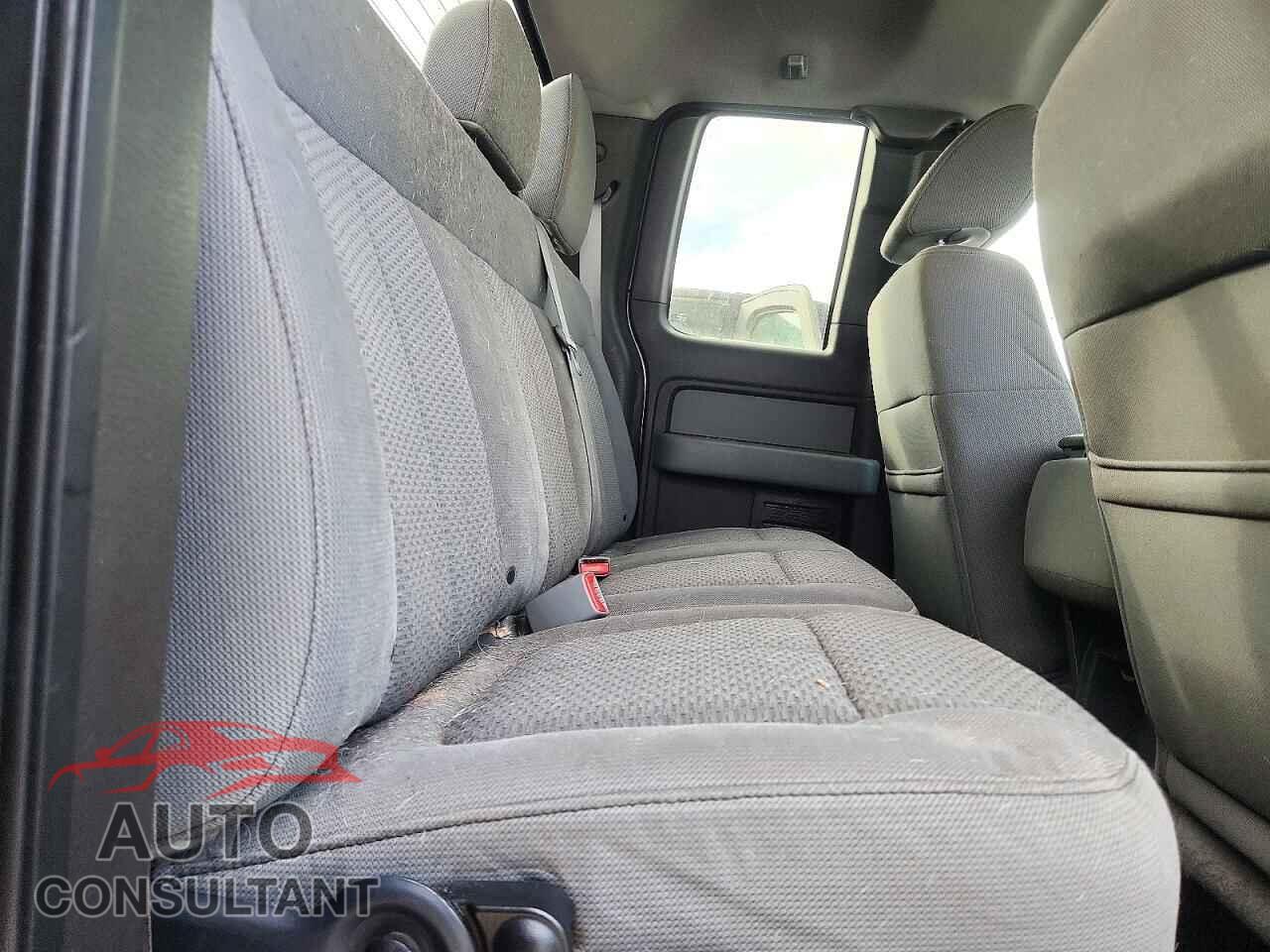 FORD F150 2011 - 1FTFX1EF4BFA39151