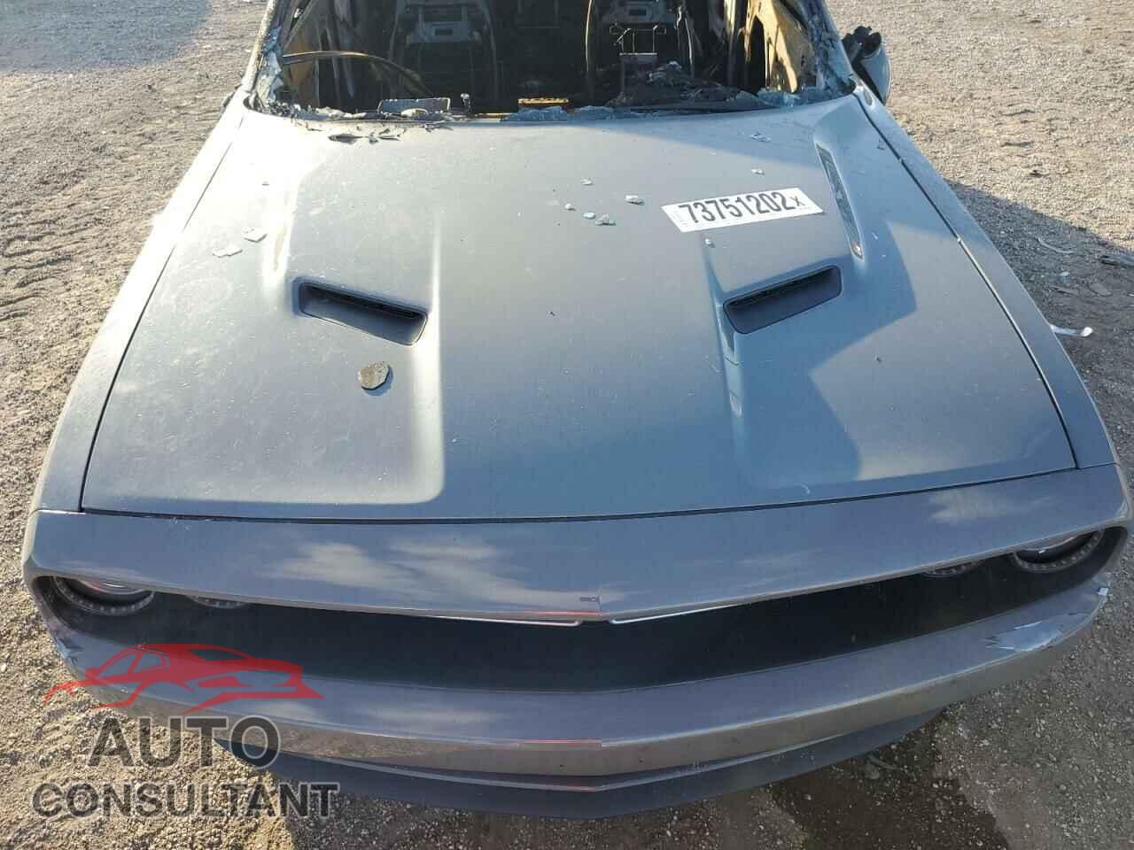 DODGE CHALLENGER 2019 - 2C3CDZAG5KH642122