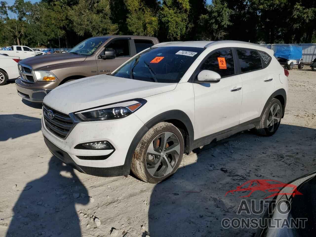 HYUNDAI TUCSON 2016 - KM8J33A28GU216397