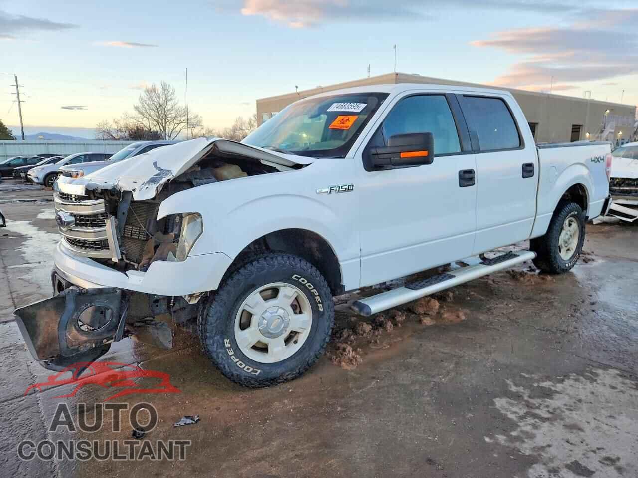 FORD F-150 2013 - 1FTFW1EF5DFD04360