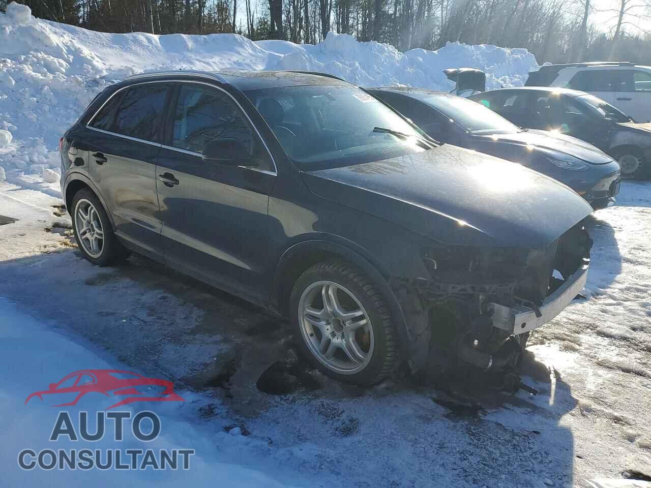 AUDI Q3 2015 - WA1EFEFS9FR008185