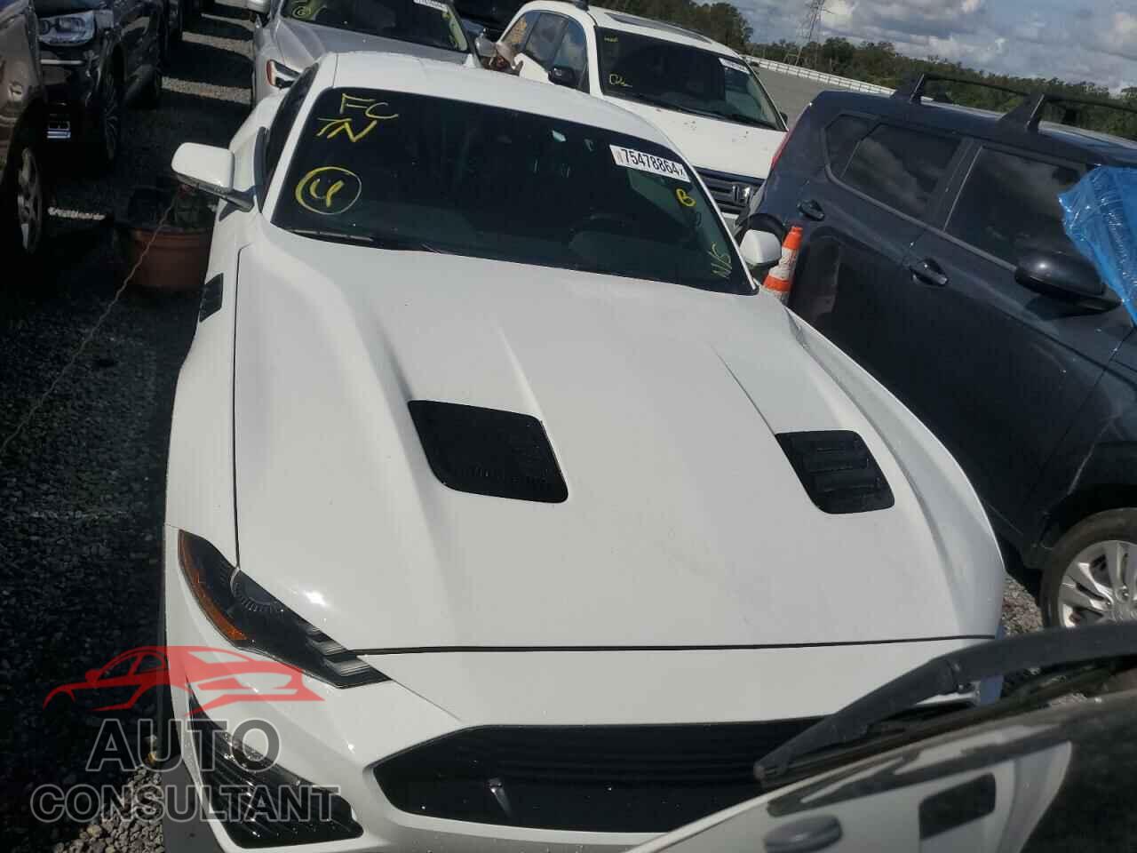 FORD MUSTANG 2023 - 1FA6P8CF4P5300275