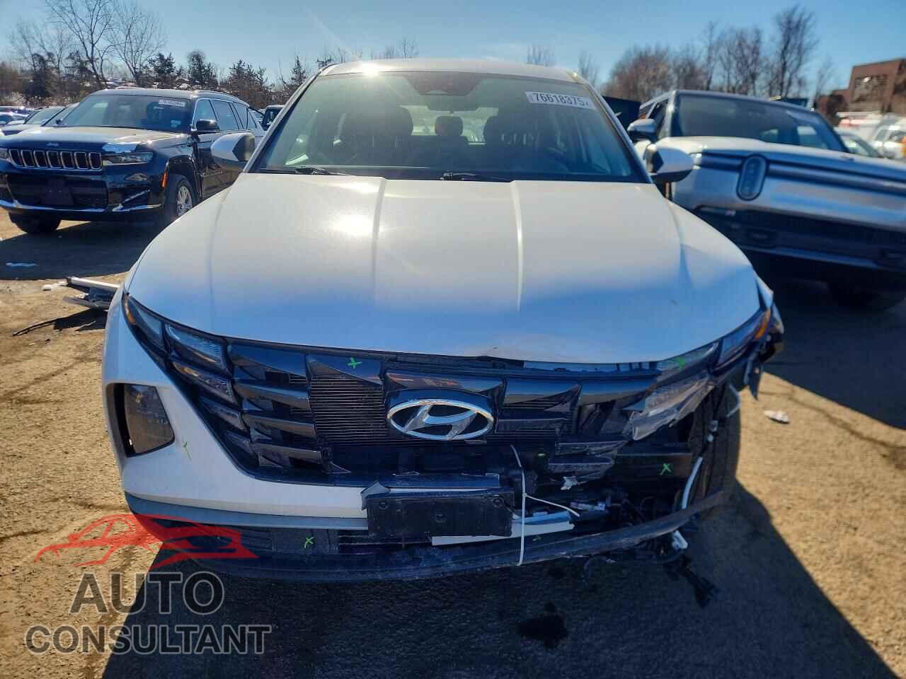 HYUNDAI TUCSON 2023 - 5NMJACAE2PH241663
