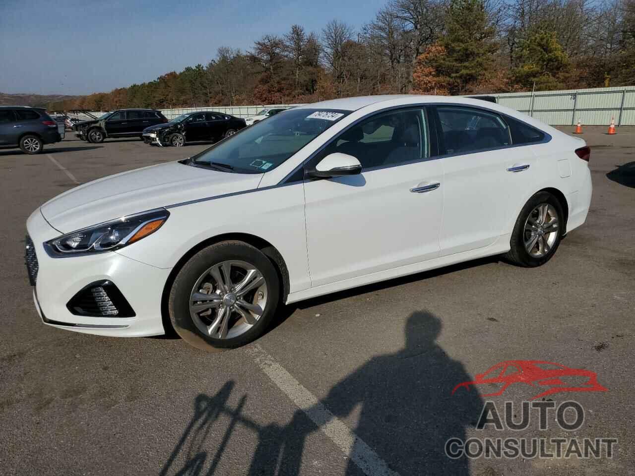 HYUNDAI SONATA 2019 - 5NPE34AF8KH761999