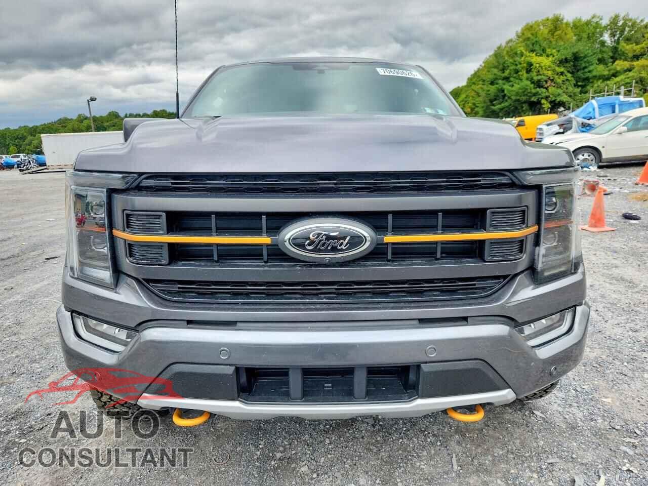 FORD F150 2023 - 1FTEW1E8XPFB03328