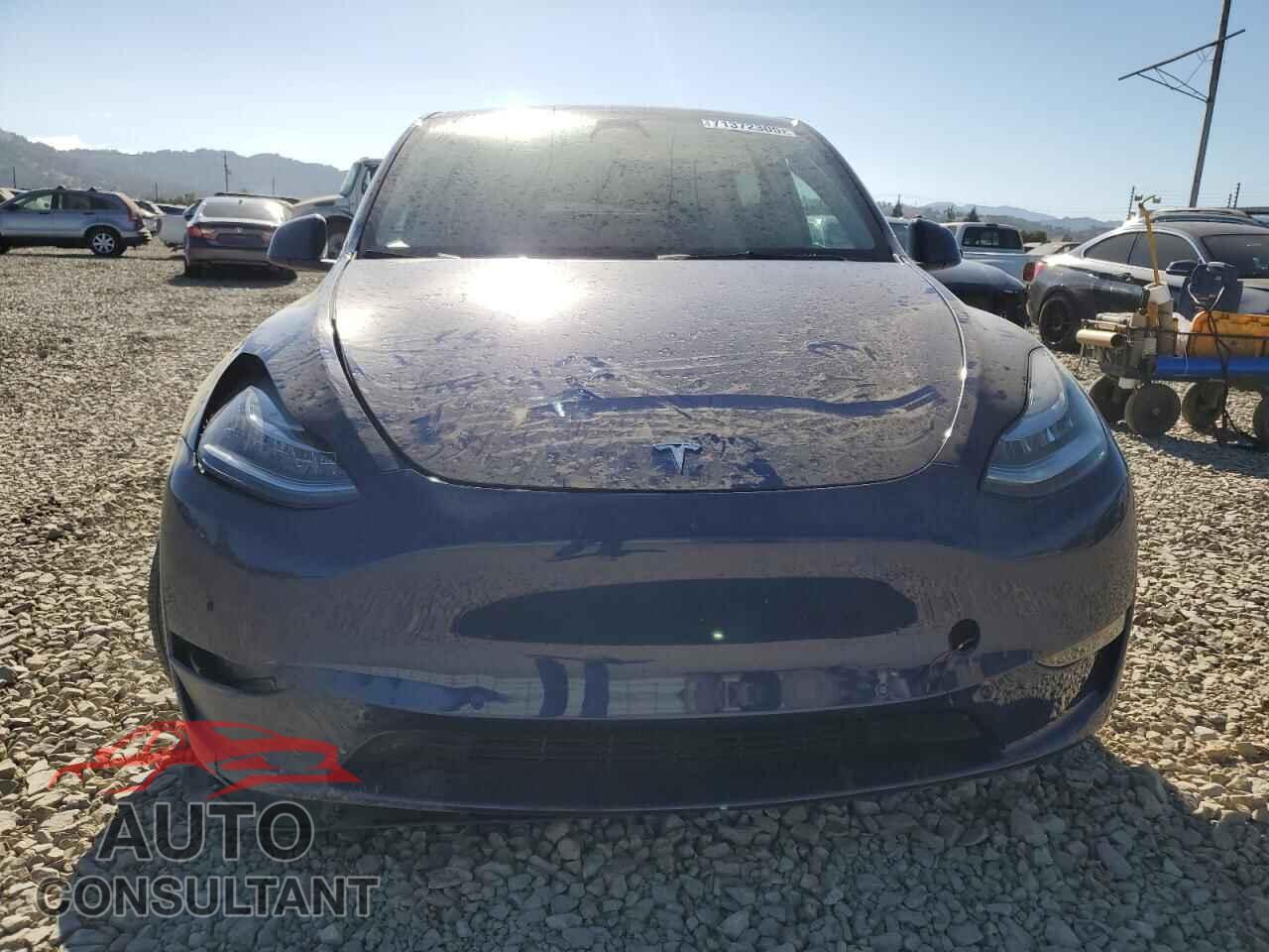 TESLA MODEL Y 2022 - 7SAYGAEE7NF392995
