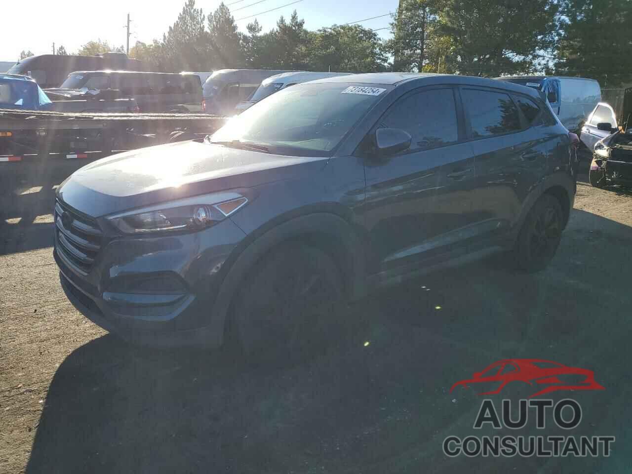 HYUNDAI TUCSON 2018 - KM8J2CA49JU656396