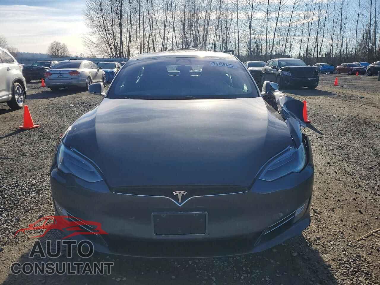 TESLA MODEL S 2019 - 5YJSA1E2XKF313177