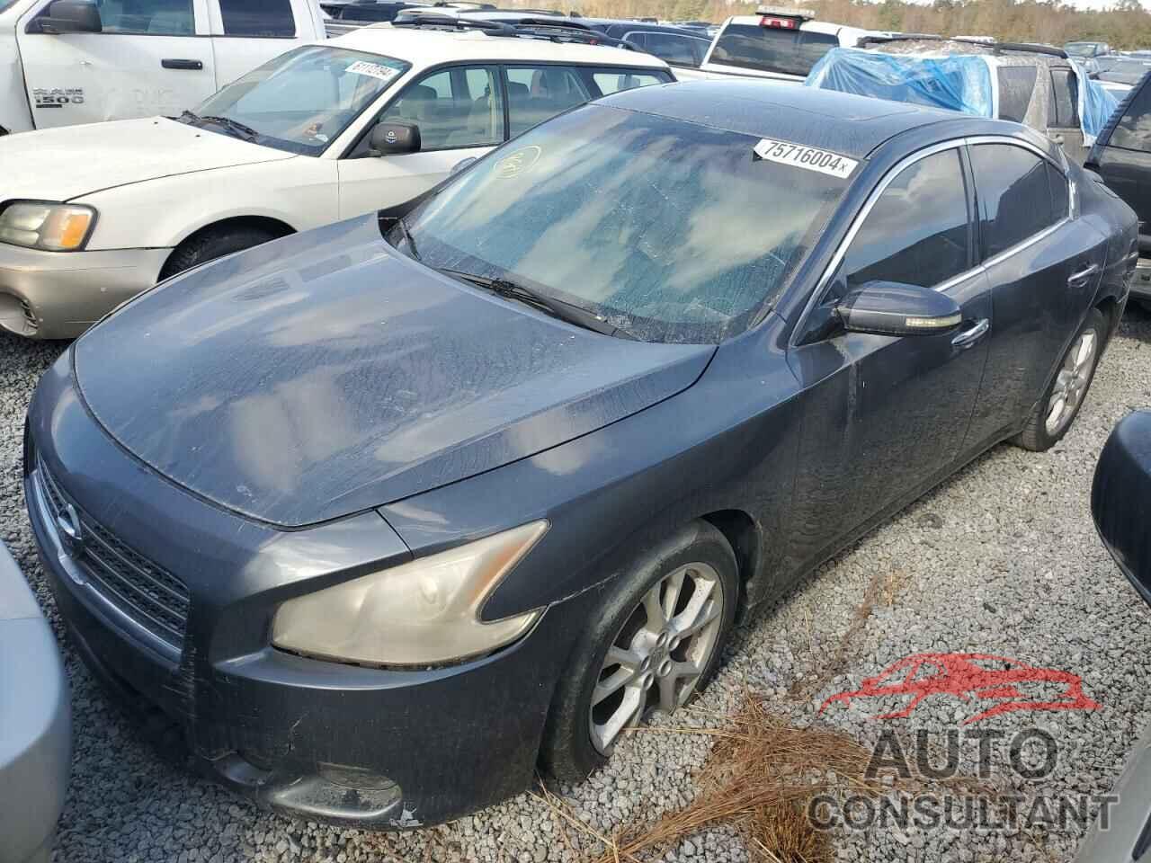 NISSAN MAXIMA 2009 - 1N4AA51E89C824922