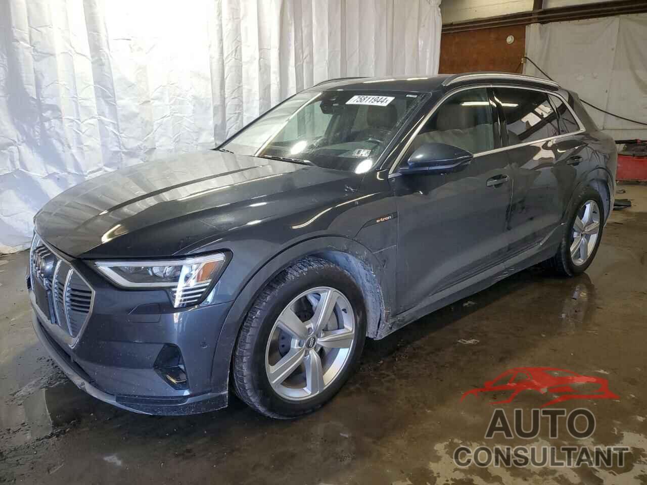 AUDI E-TRON 2019 - WA1VABGE6KB021193