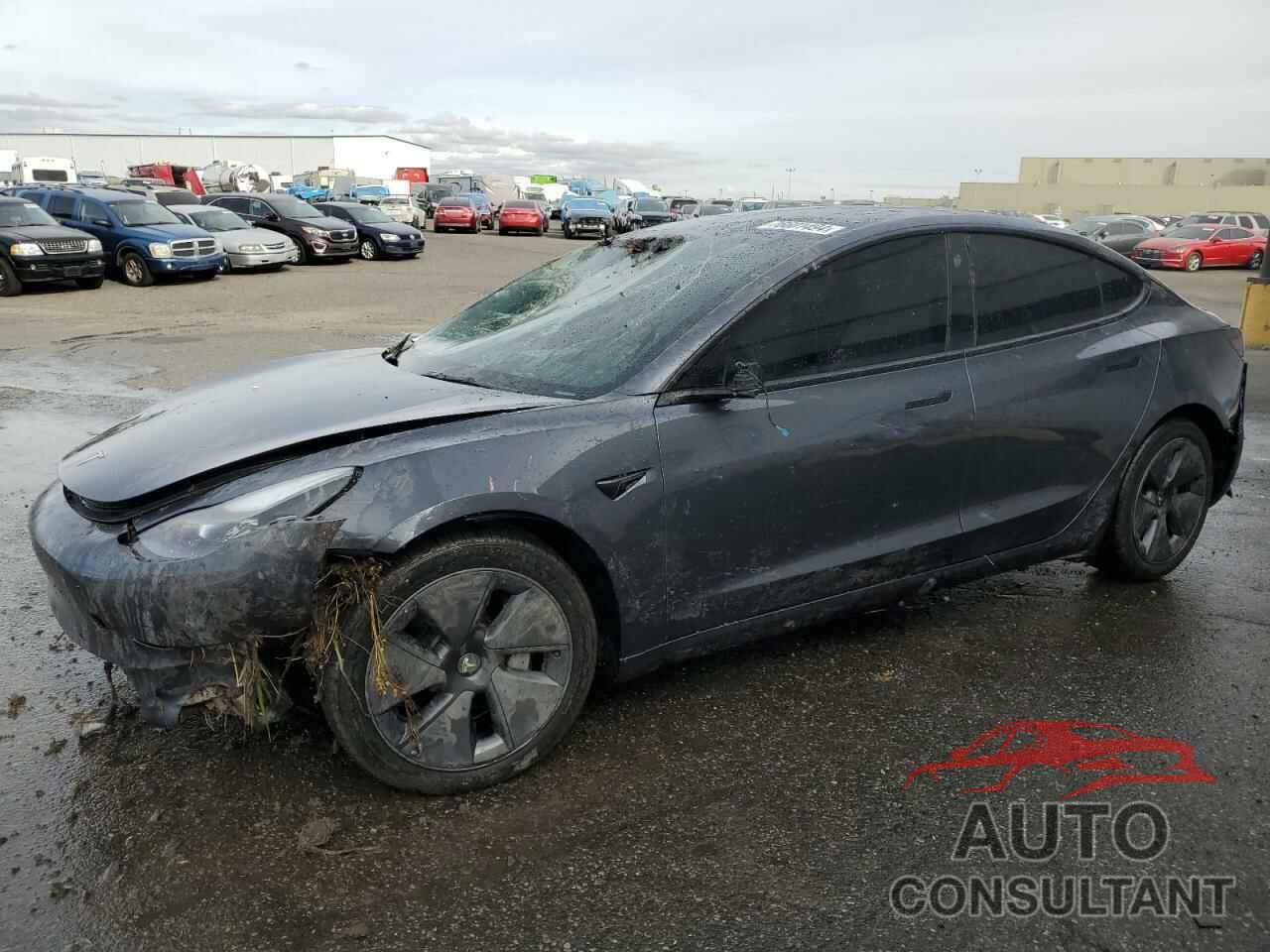 TESLA MODEL 3 2022 - 5YJ3E1EB8NF362102