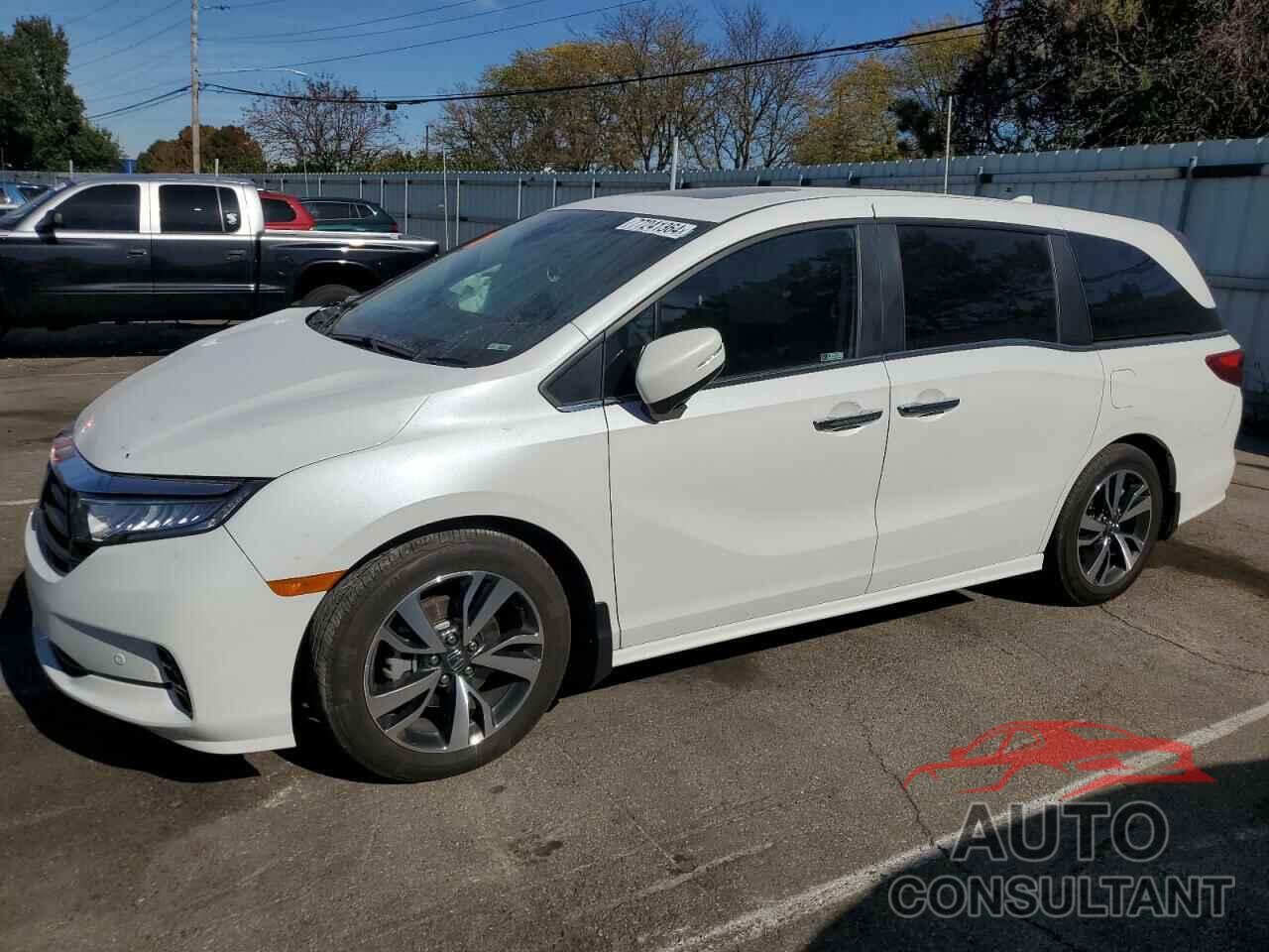 HONDA ODYSSEY 2023 - 5FNRL6H81PB031863