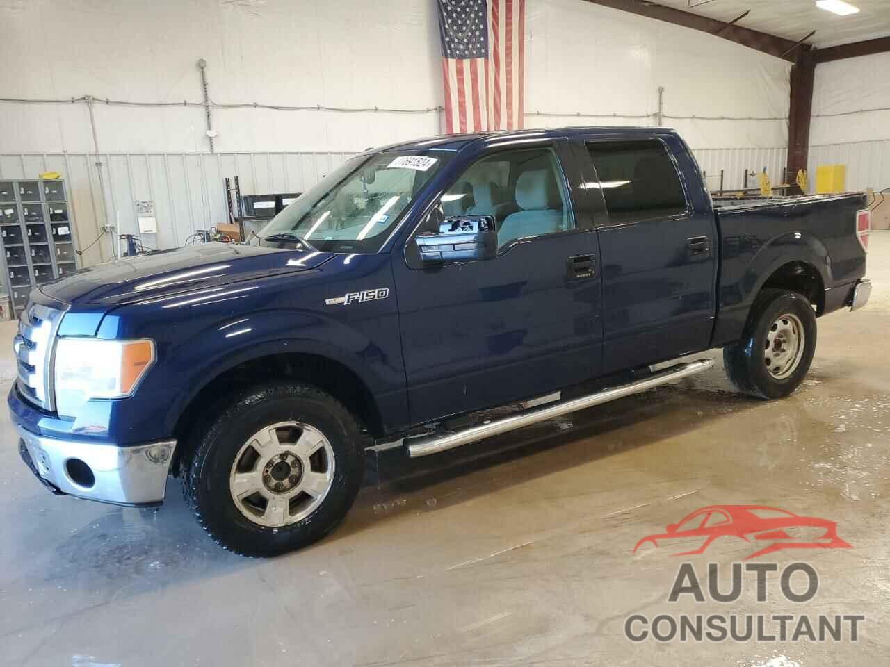 FORD F-150 2012 - 1FTFW1CFXCFC96287