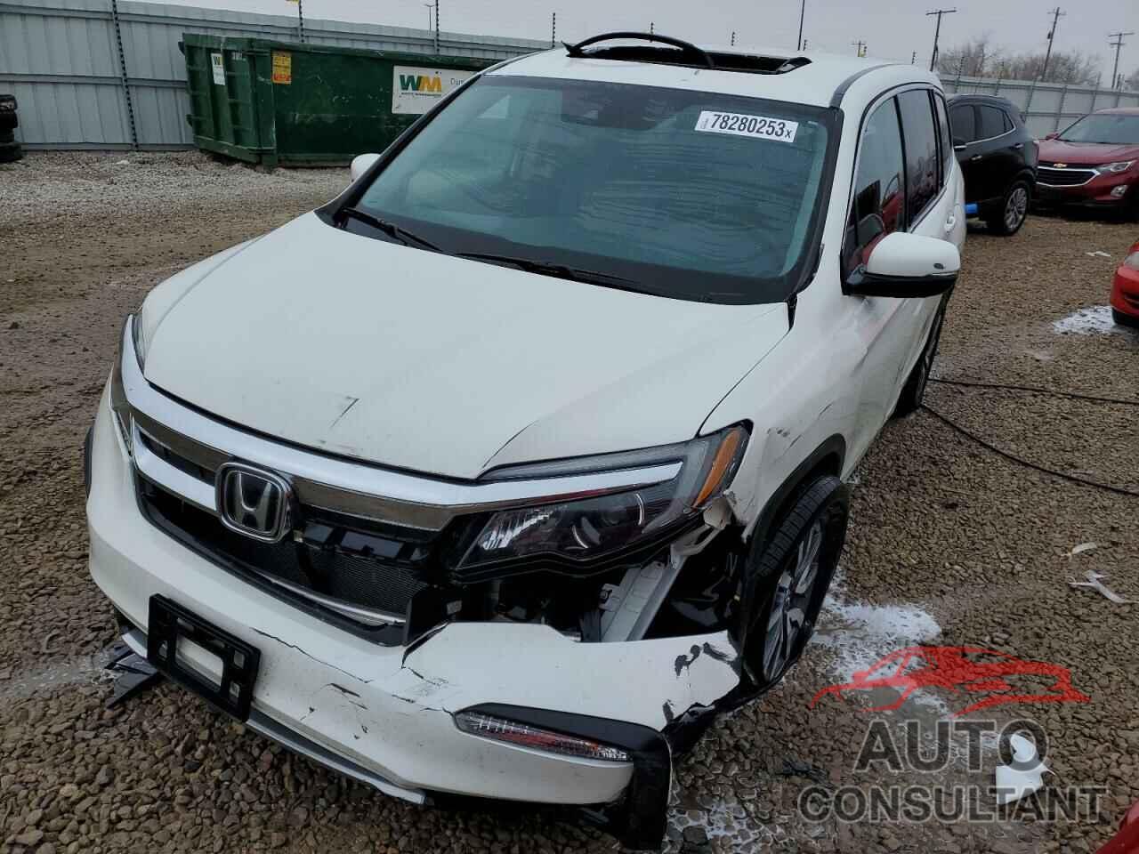 HONDA PILOT 2019 - 5FNYF6H53KB066292