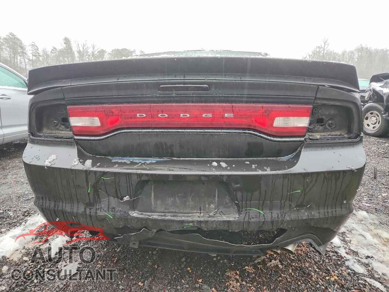 DODGE CHARGER 2012 - 2C3CDXCT2CH239862