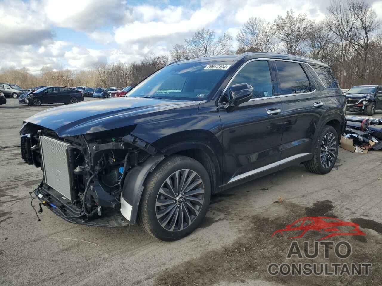HYUNDAI PALISADE 2024 - KM8R7DGE9RU734195