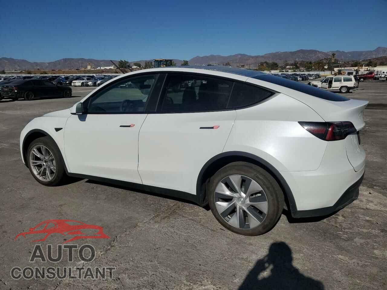 TESLA MODEL Y 2023 - 7SAYGDED6PF970077
