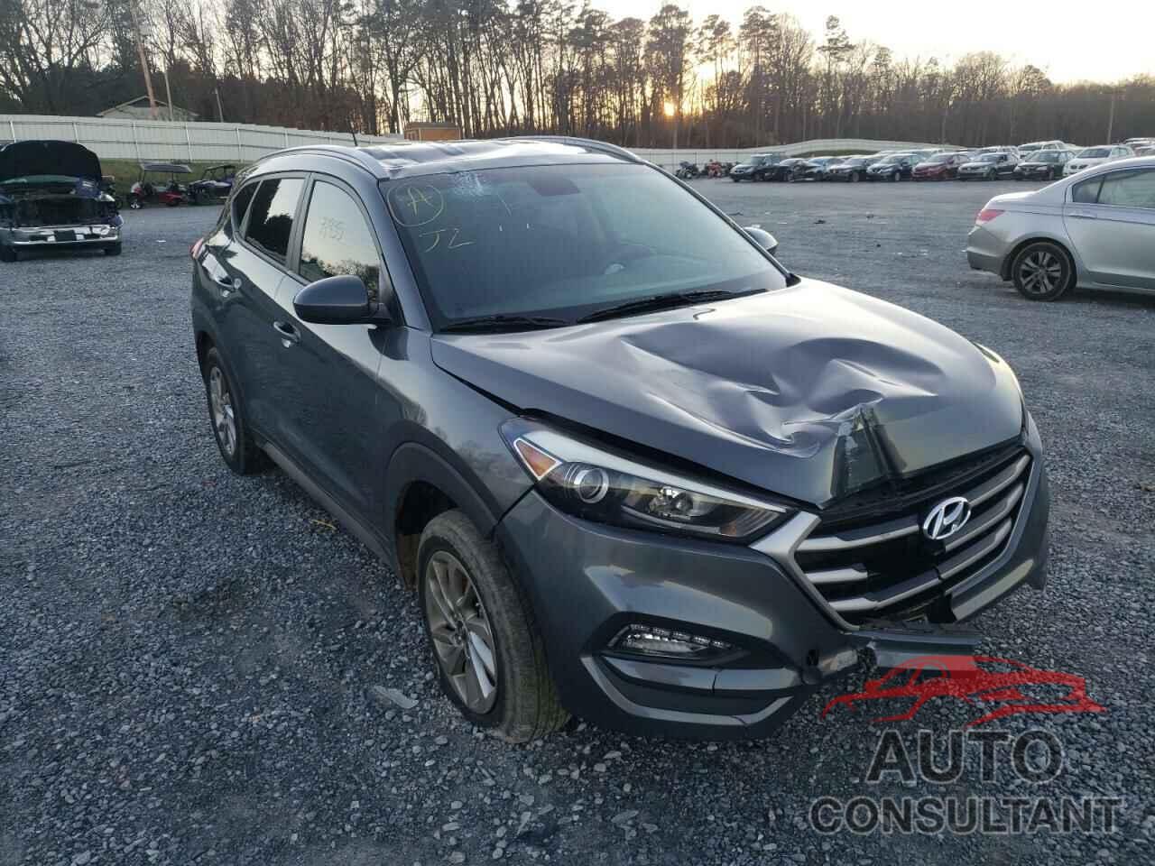 HYUNDAI TUCSON 2017 - KM8J33A46HU296107