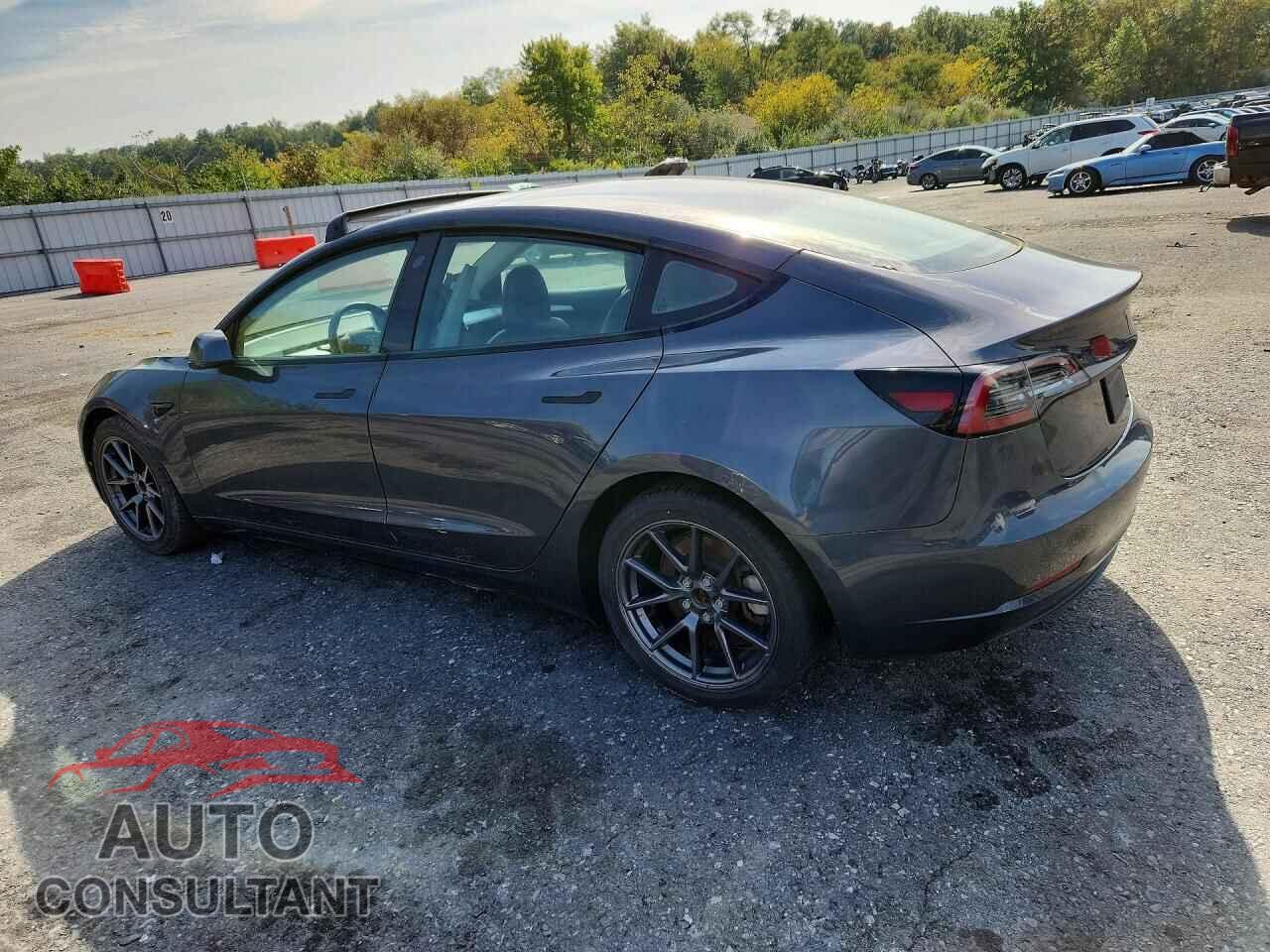 TESLA MODEL 3 2021 - 5YJ3E1EA1MF026815