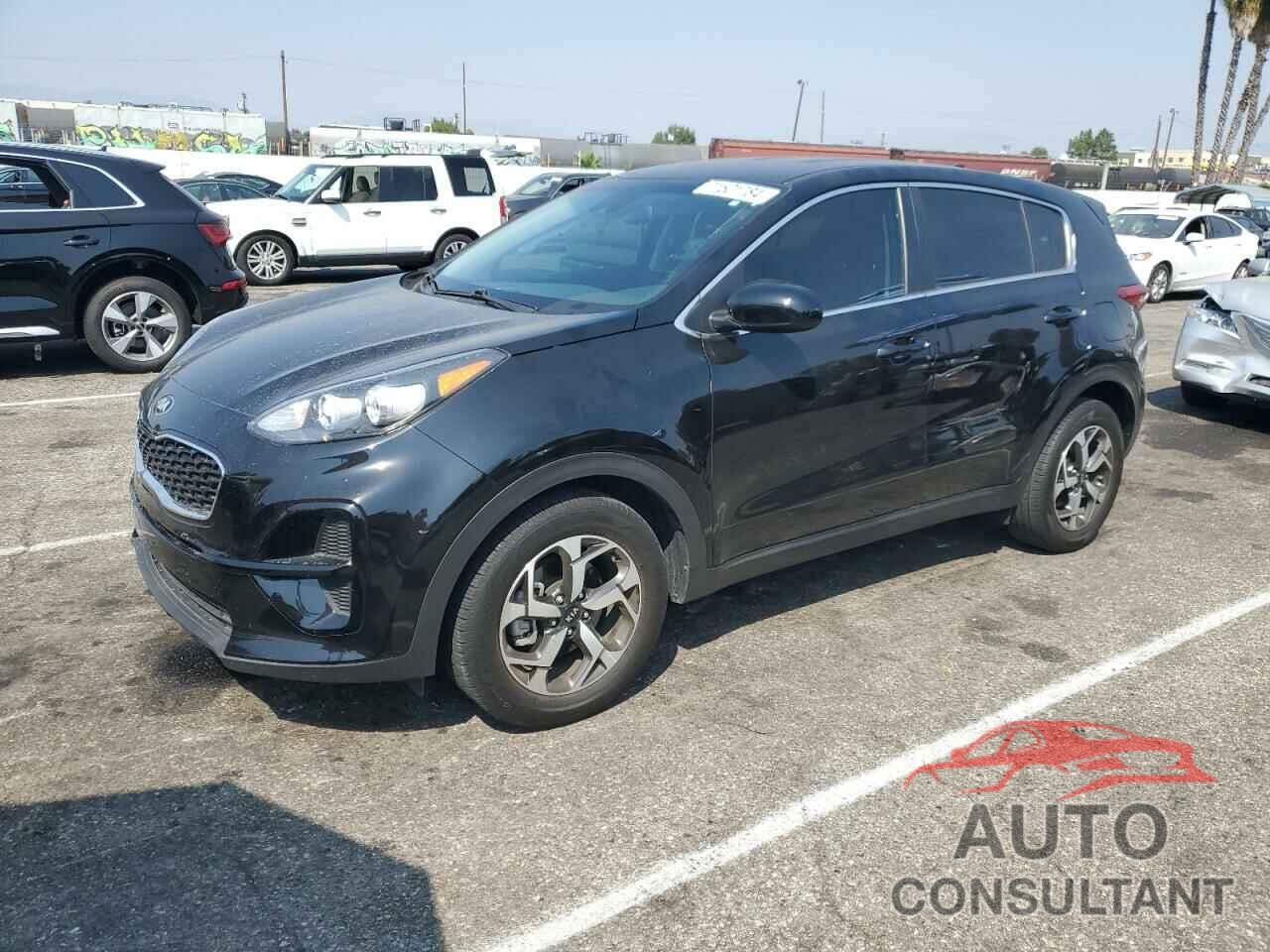 KIA SPORTAGE 2022 - KNDPM3AC6N7962931