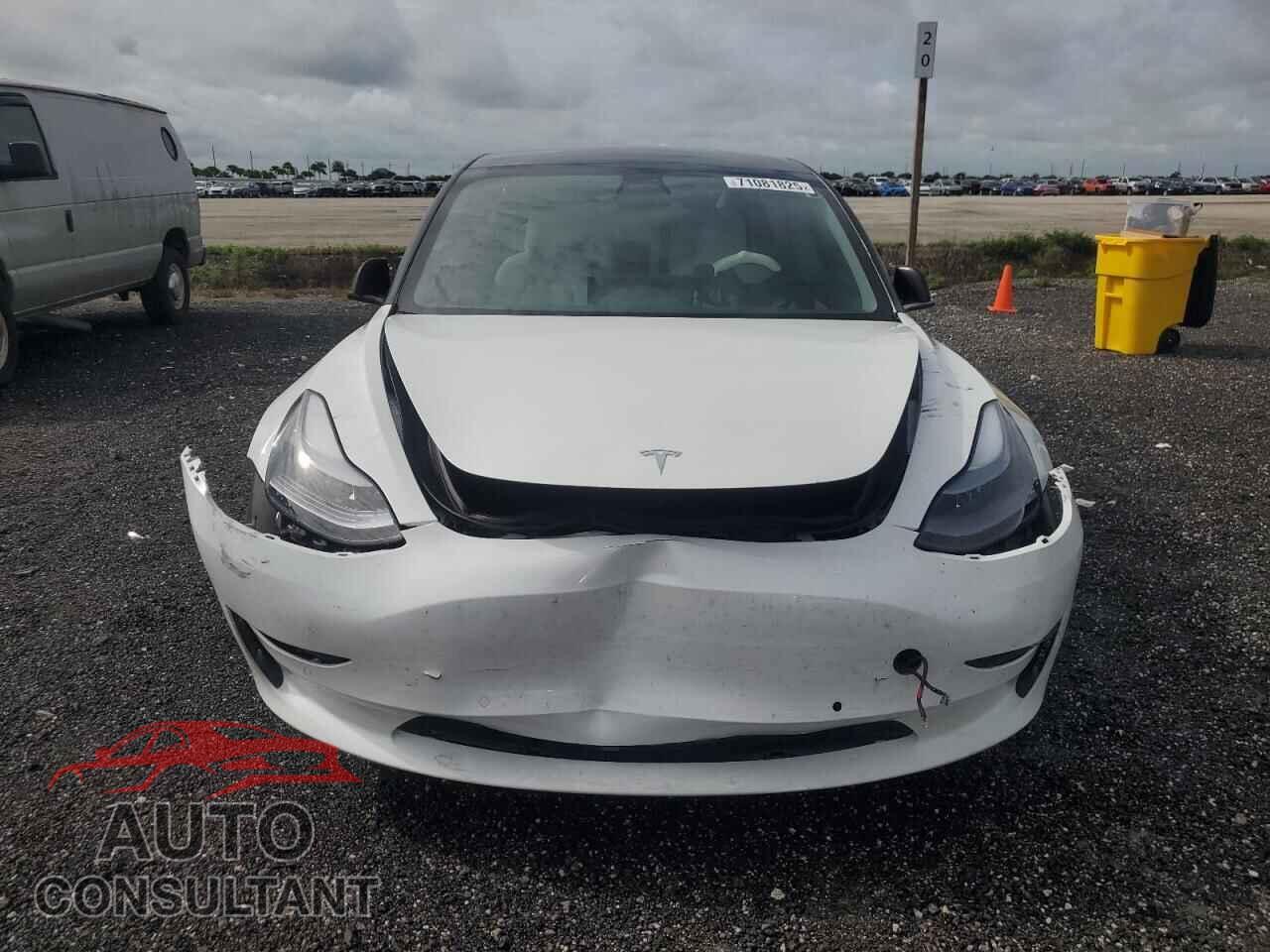 TESLA MODEL 3 2019 - 5YJ3E1EA0KF486660