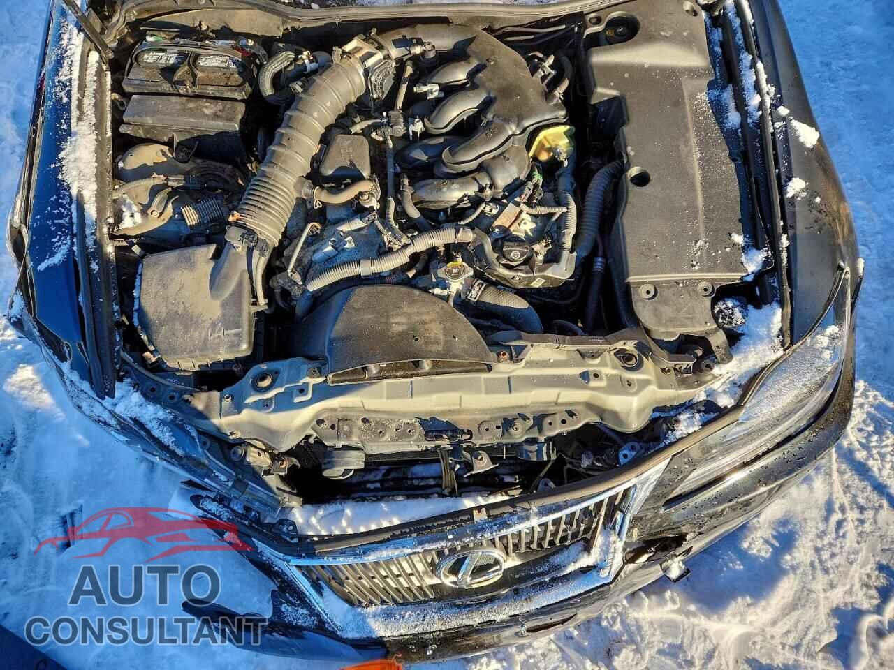 LEXUS IS 2010 - JTHCF5C27A5043579