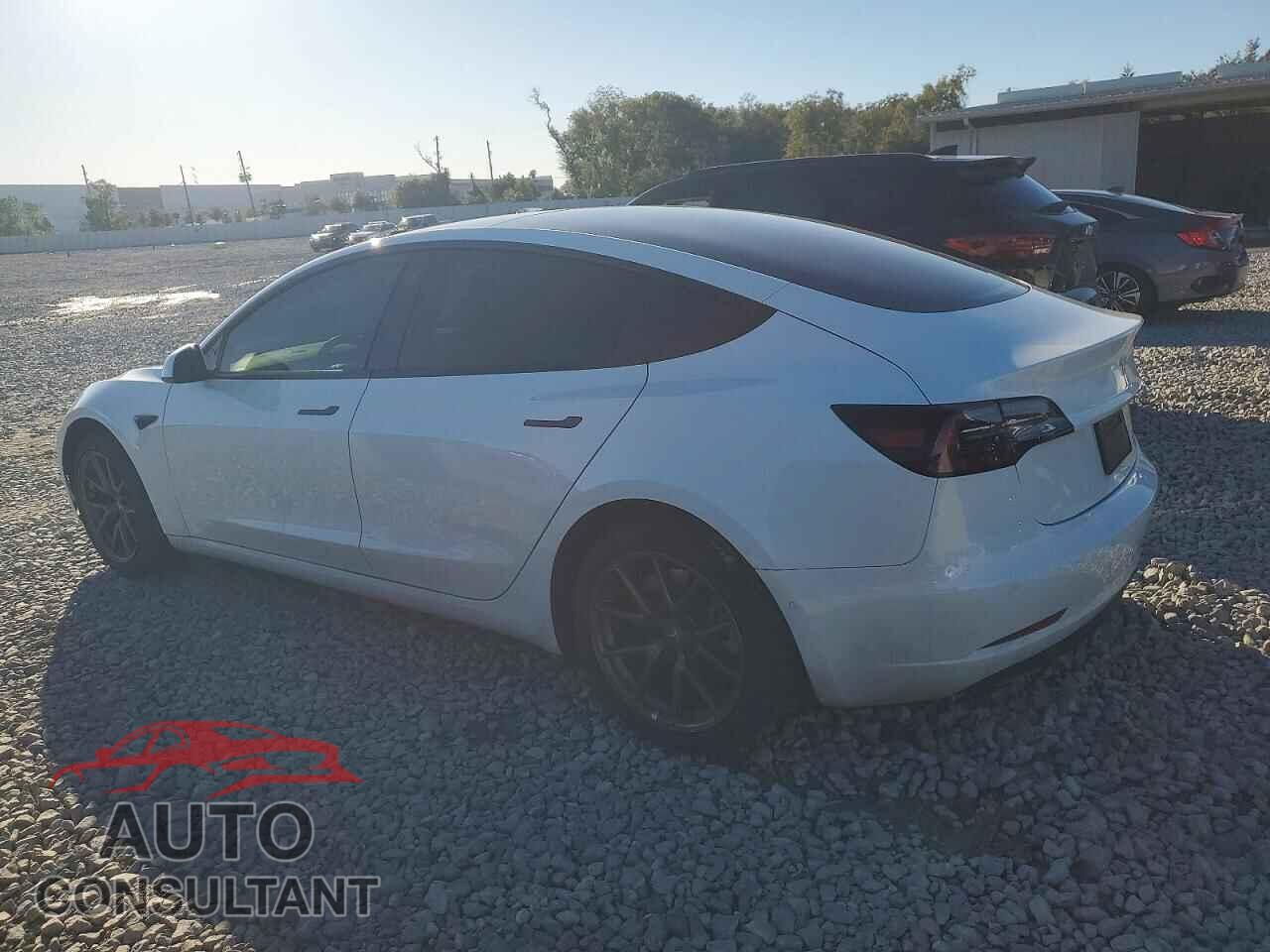 TESLA MODEL 3 2021 - 5YJ3E1EA6MF085651