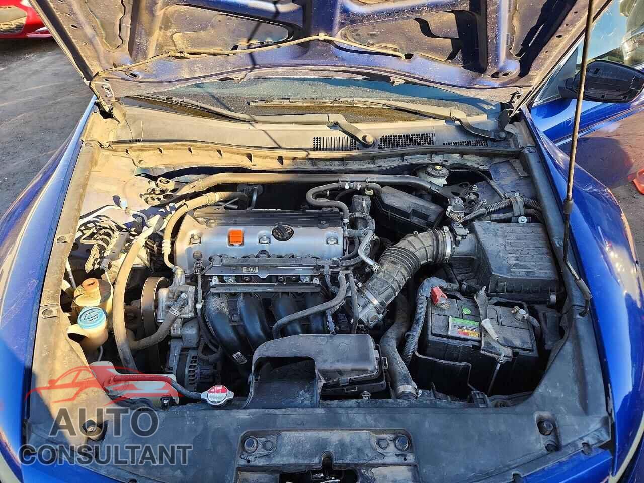 HONDA ACCORD 2011 - 1HGCS1B80BA005357