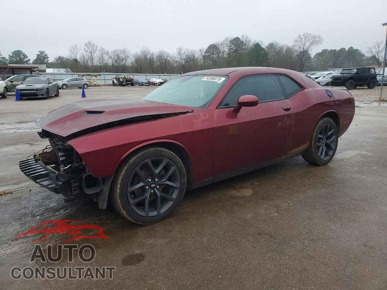 DODGE CHALLENGER 2019 - 2C3CDZAGXKH620973