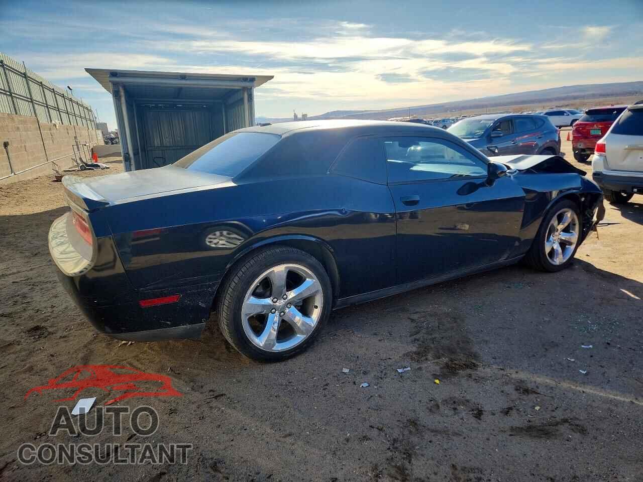 DODGE CHALLENGER 2014 - 2C3CDYAG0EH154341