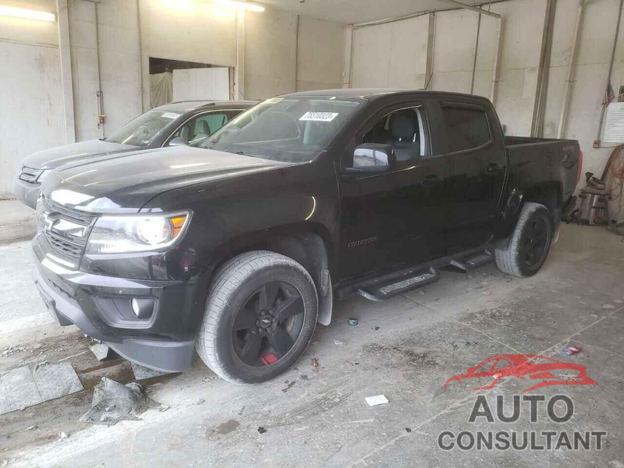 CHEVROLET COLORADO 2019 - 1GCGTCEN5K1201725