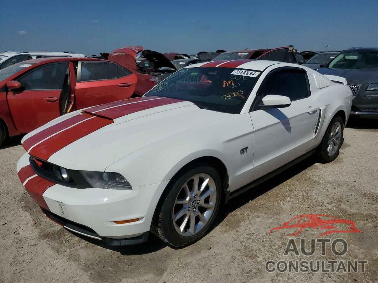 FORD MUSTANG 2010 - 1ZVBP8CH9A5166331