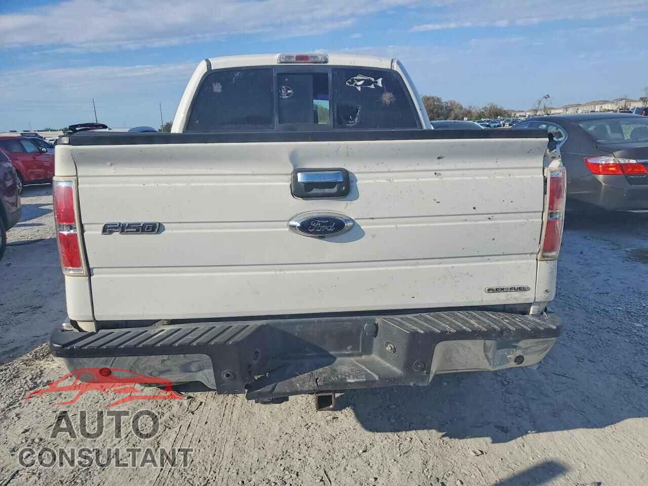 FORD F-150 2013 - 1FTFW1EF7DFD64334