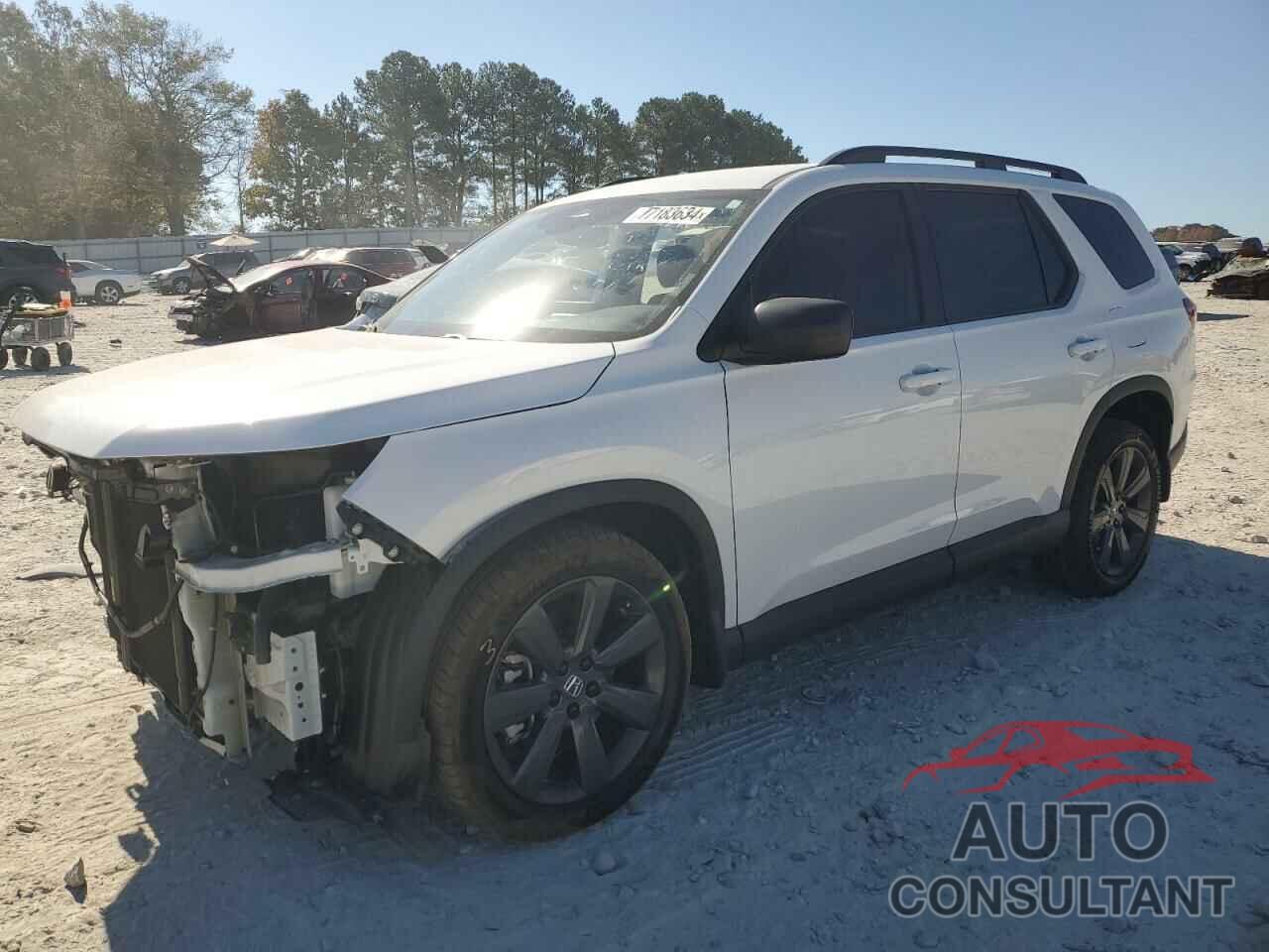 HONDA PILOT 2023 - 5FNYG1H36PB010756