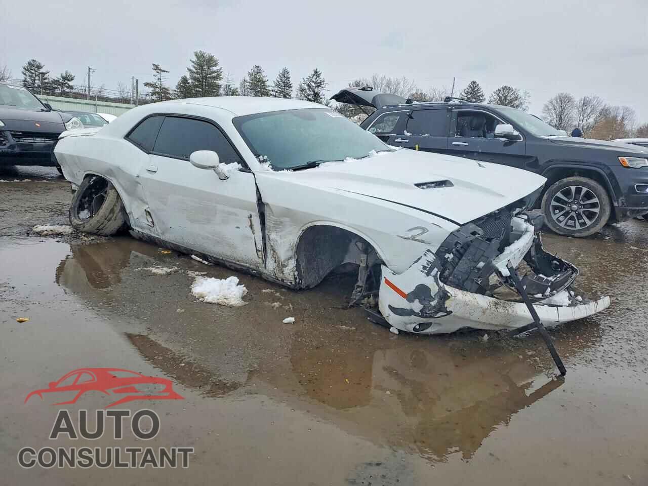 DODGE CHALLENGER 2019 - 2C3CDZAG6KH524659