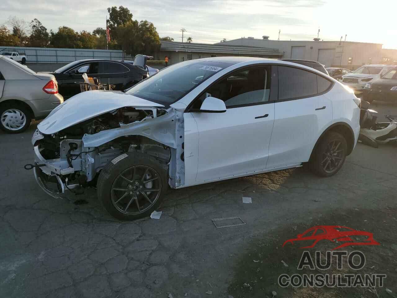 TESLA MODEL Y 2024 - 7SAYGDEE0RF196081