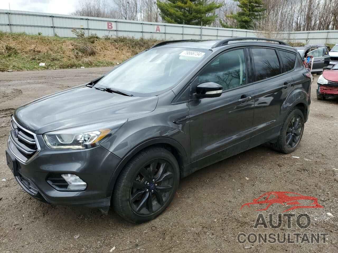 FORD ESCAPE 2017 - 1FMCU9J96HUE77485